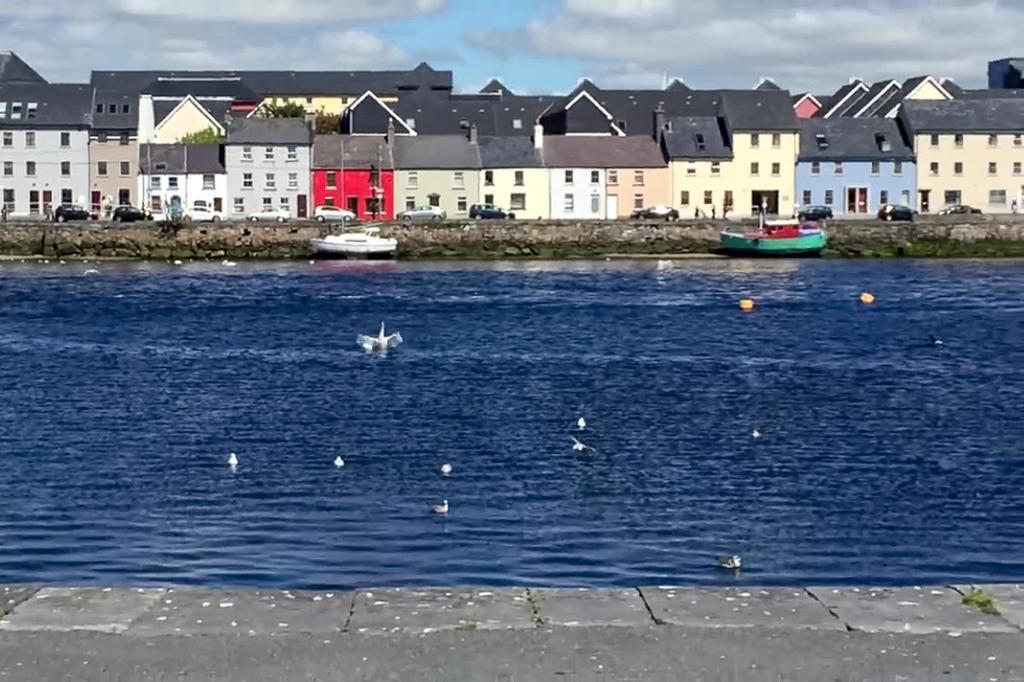 Dominick Street Apartments Galway Exteriör bild